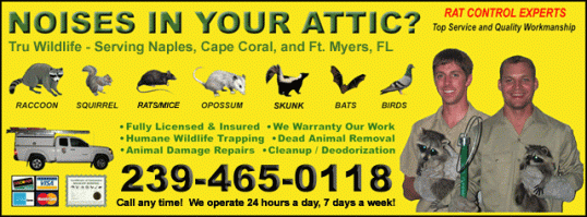 Naples Animal Control